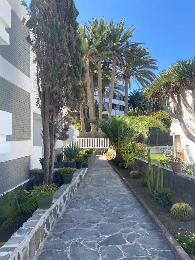 아파트 Apartamentos Oasis Maspalomas 마스팔로마스