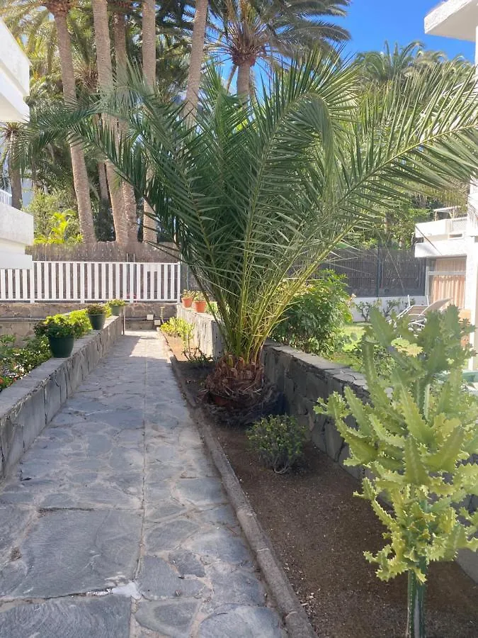 Apartamentos Oasis Maspalomas 마스팔로마스 0*,