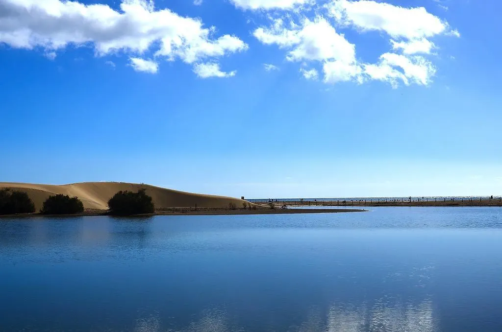 Apartamentos Oasis Maspalomas 마스팔로마스 0*,  스페인